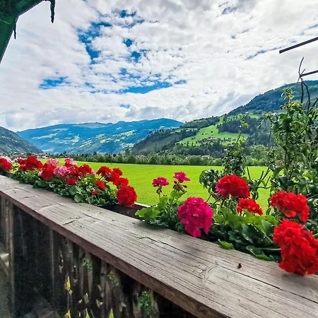 Trojer-2 By Interhome Хиппах